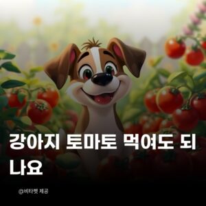강아지-토마토