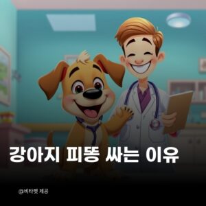 강아지-피똥