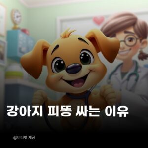 강아지-피똥