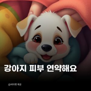 강아지-피부-약해요