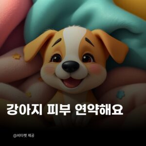 강아지-피부-약해요