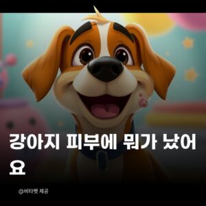 강아지-피부
