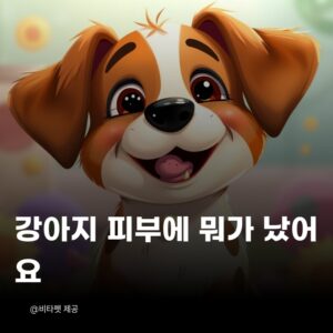 강아지-피부