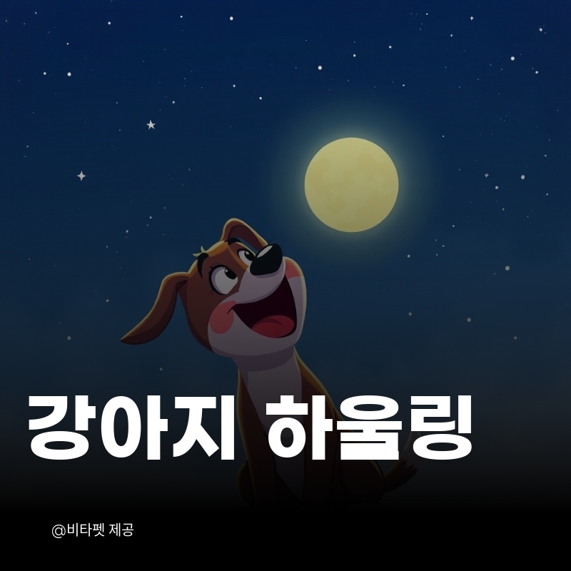 강아지-하울링