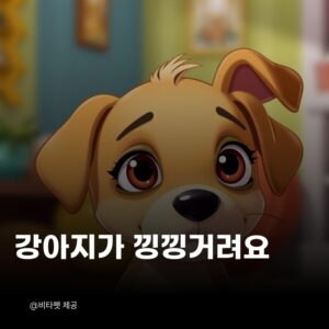 강아지-낑낑