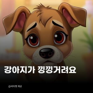 강아지-낑낑