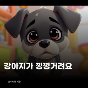 강아지-낑낑