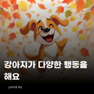 강아지-다양한-행동