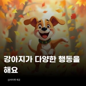 강아지-다양한-행동