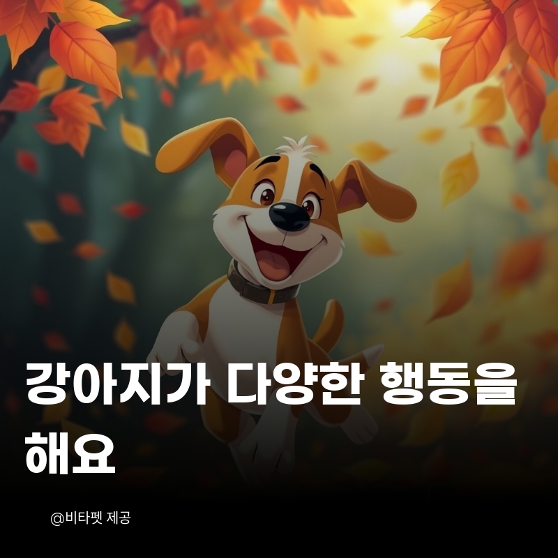 강아지-다양한-행동