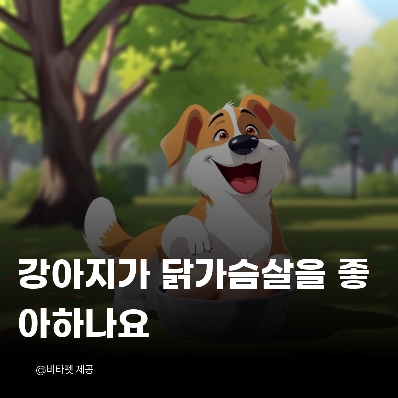 강아지-닭가슴살