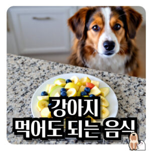 강아지-먹어도-되는-음식