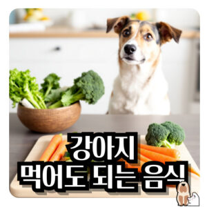 강아지-먹어도-되는-음식