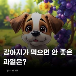 강아지-먹으면-안좋은-과일