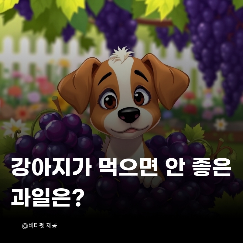 강아지-먹으면-안좋은-과일