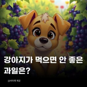 강아지-먹으면-안좋은-과일