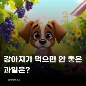 강아지-먹으면-안좋은-과일