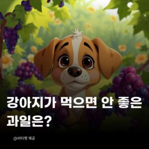 강아지-먹으면-안좋은-과일