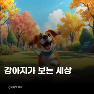 강아지-보는-세상