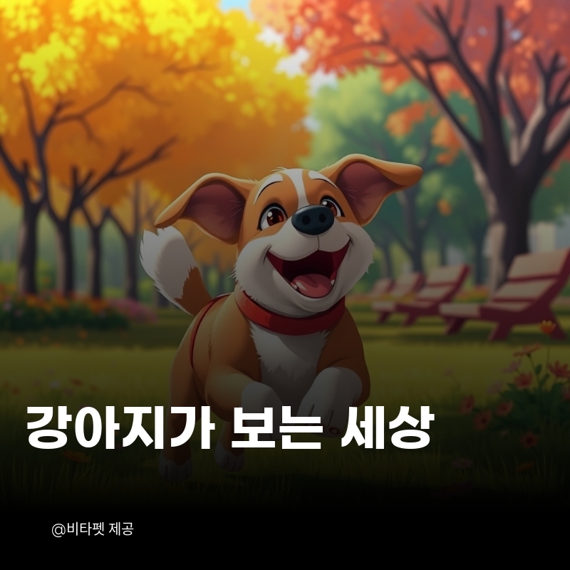 강아지-보는-세상