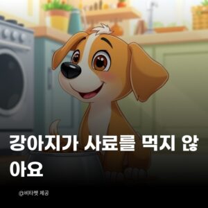 강아지-사료-거부