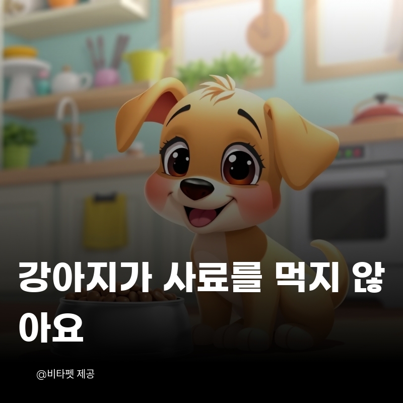 강아지-사료-거부