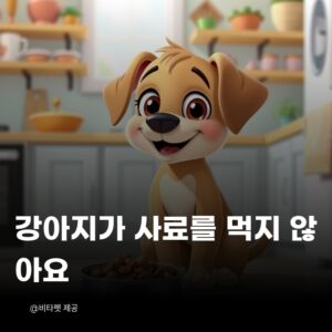 강아지-사료-거부