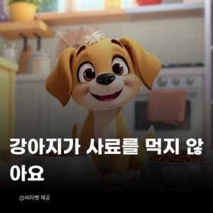 강아지-사료-거부