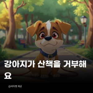강아지-산책-거부