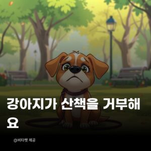 강아지-산책-거부
