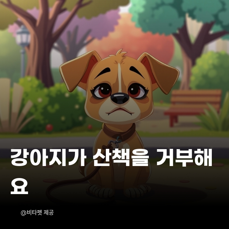 강아지-산책-거부