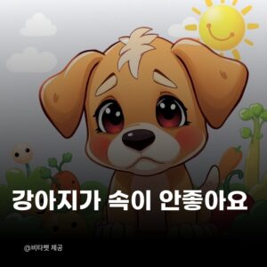 강아지-공복토