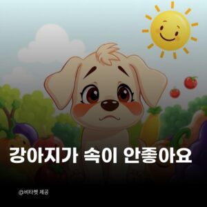 강아지-공복토