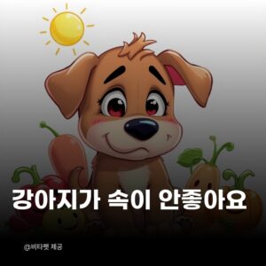 강아지-설사