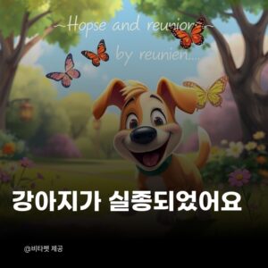 강아지-실종