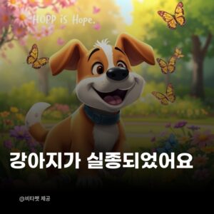 강아지-실종