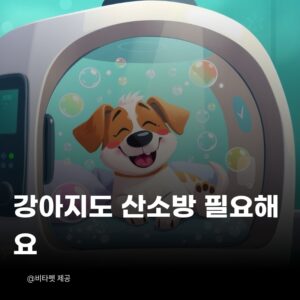 강아지-산소방