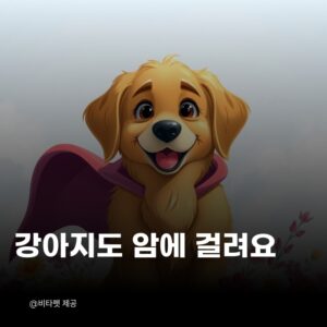강아지-암