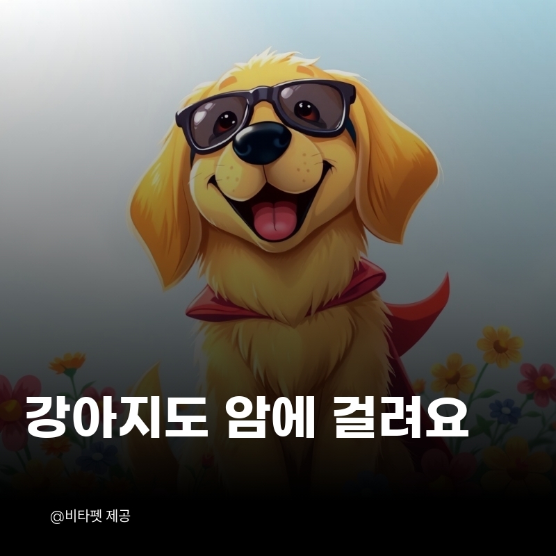 강아지-암