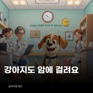 강아지-암