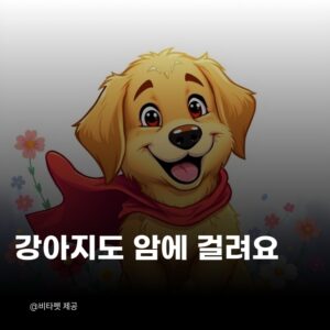 강아지-암