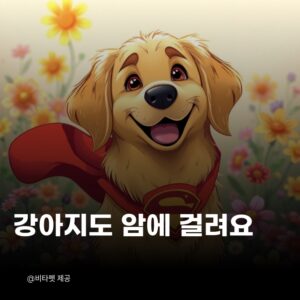 강아지-암