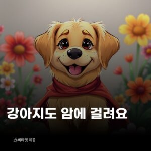 강아지-암