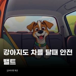 감아지-자동차-탈때-안전밸트