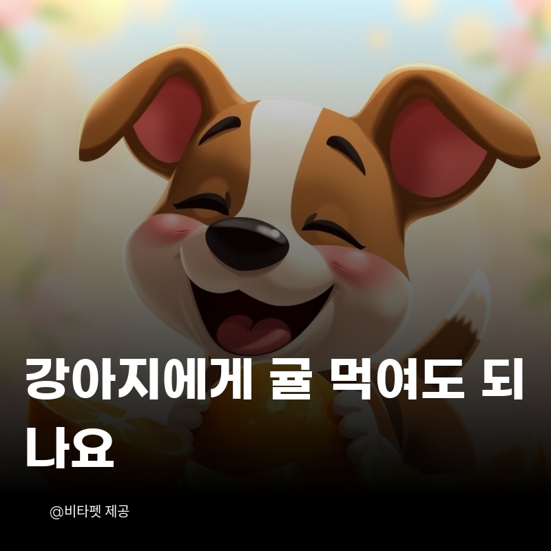 강아지-귤
