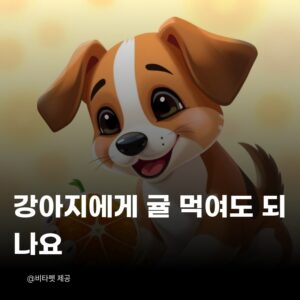 강아지-귤