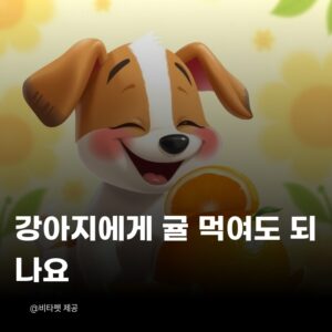 강아지-귤
