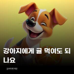 강아지-귤