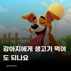 강아지-생고기
