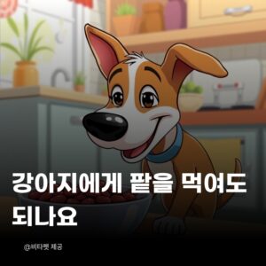 강아지-팥